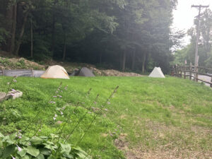 Lawn for tent camping