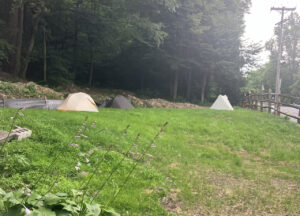 Lawn for tent camping